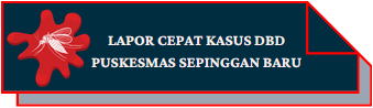 https://pkmsepingganbaru.balikpapan.go.id/contents/20240906091731963266.jpeg